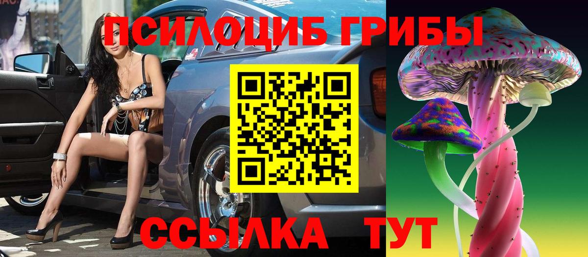 Псилоцибиновые грибы Psilocybe Ялуторовск